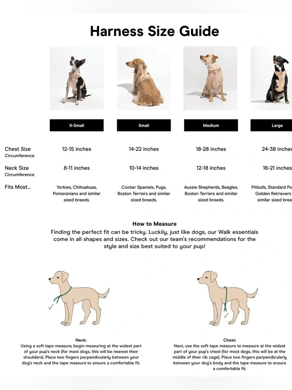 Wild One Dog Harness